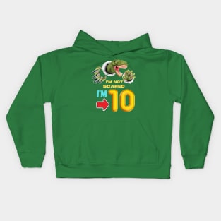 10th Birthday Dinosaur Kids Hoodie